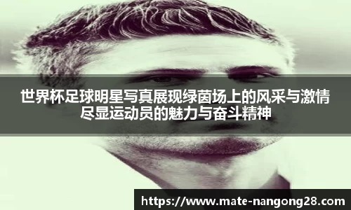 南宫28相信品牌力量